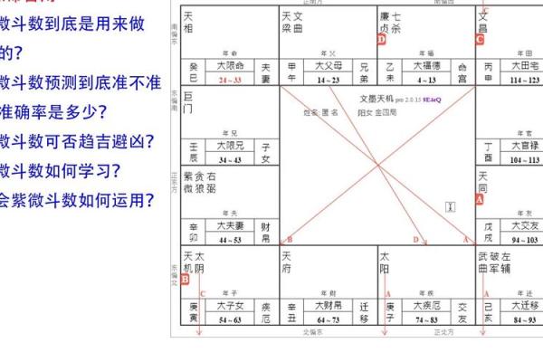 电脑紫薇斗数软件
