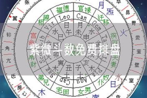 电脑紫薇斗数软件