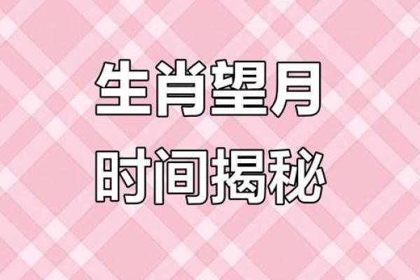 生肖月份配对大揭秘，十二生肖月份怎么搭配最合适