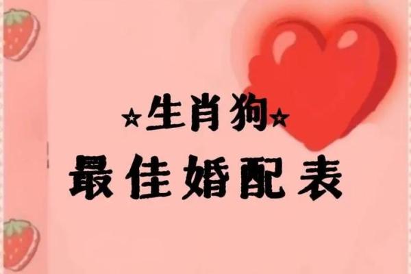 狗的属相配对婚配表