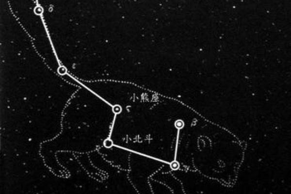 年紫薇星降世