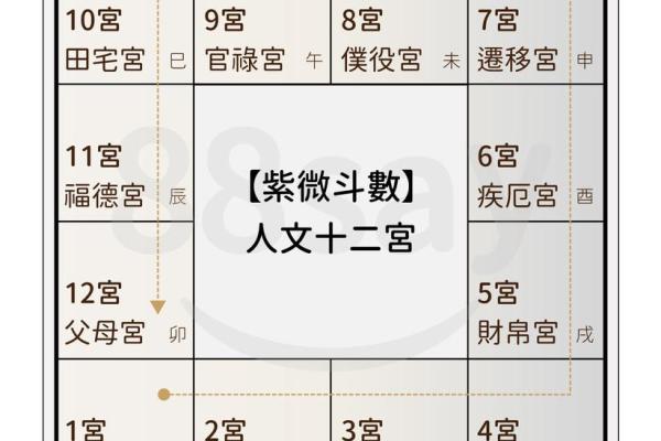 占星盘和紫薇斗数
