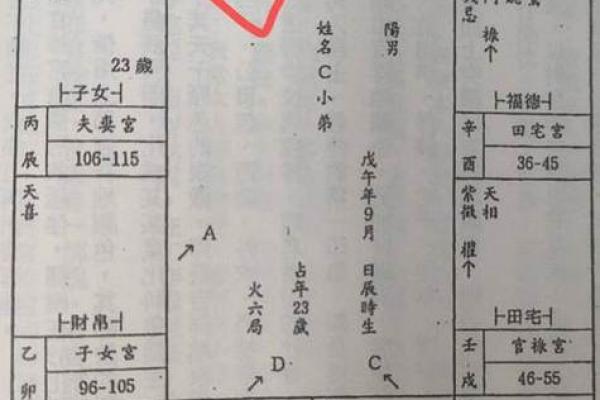 紫薇斗数怎么看工作