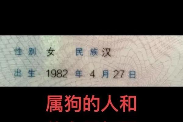 属狗和什么属相最配对 属狗和什么属相相冲