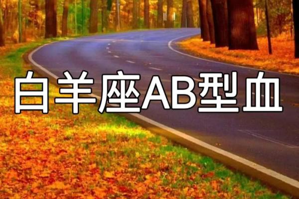 白羊座哪个血型最聪明