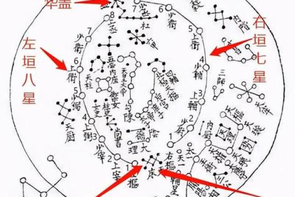 紫薇斗数华盖在官禄宫