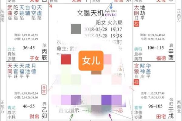 王员外紫薇斗数