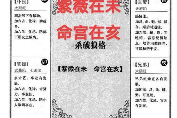 王员外紫薇斗数
