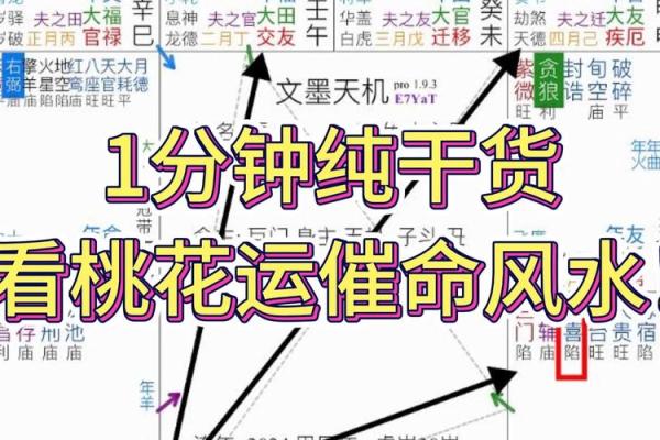 紫薇斗数流年桃花