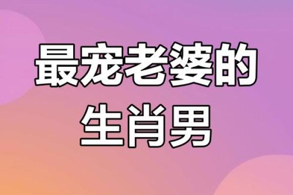 属猪男和属牛女的婚姻怎么样 属猪男和属牛男配对指数