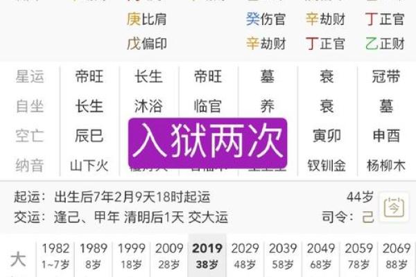 六卜易说八字-伤官格的大林木命人财运如何