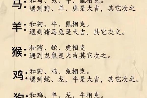 属鼠和什么属相最配对 属鼠和什么属相相冲