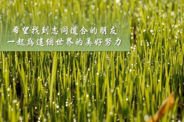 姓名与五行壁纸配对方法 姓名五行搭配表？