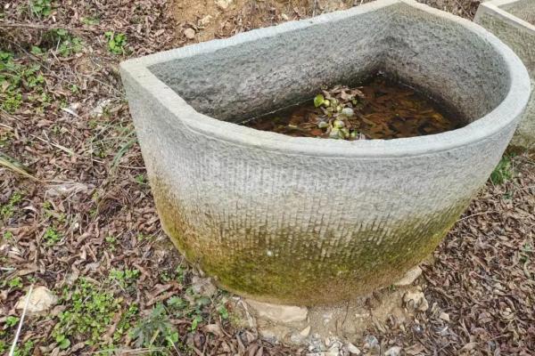 石缸养鱼与风水