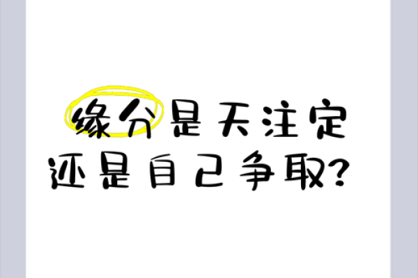 缘分是天注定姓名配对 缘份真的是天注定的-？