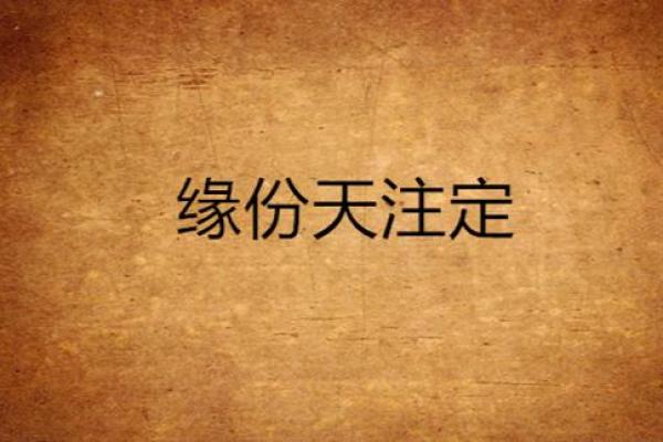 缘分是天注定姓名配对 缘份真的是天注定的-？