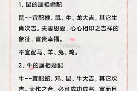 生肖月份配对大揭秘，十二生肖月份怎么搭配最合适