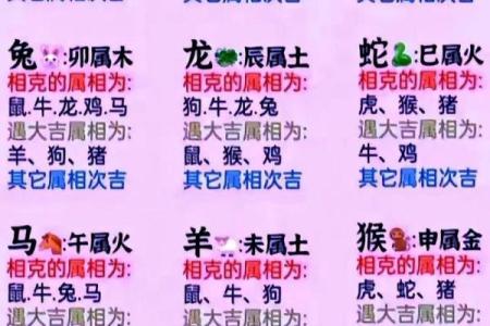 狗的属相配对婚配表