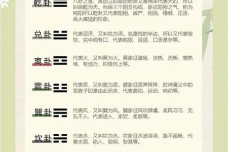 紫微斗数之八卦万物类象：离卦详解