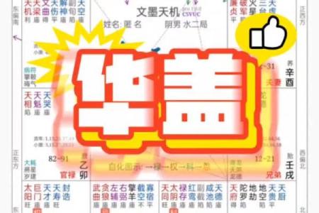 紫薇斗数华盖在官禄宫