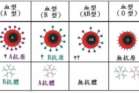 啥血型老婆会被老公冷落