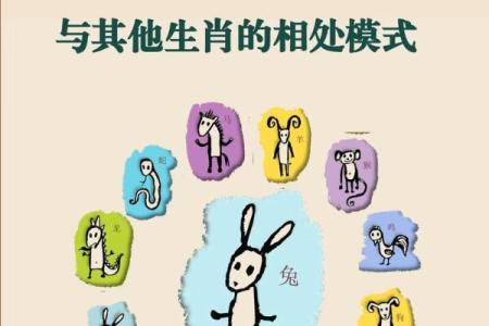 属猪和什么属相最配对 属猪和什么属相相冲