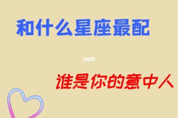 金牛座跟哪个更配对