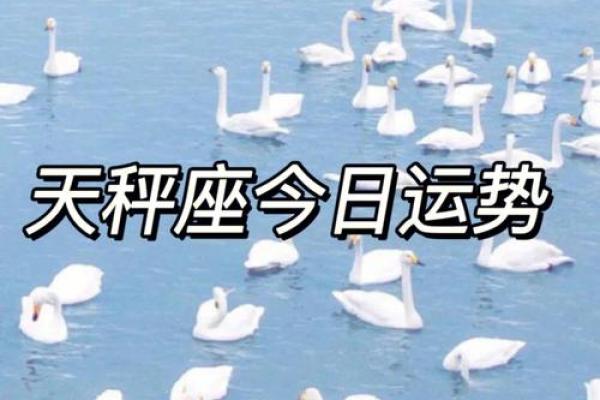 天秤座2024年下半年运势  天秤座今日运势紫微黄历