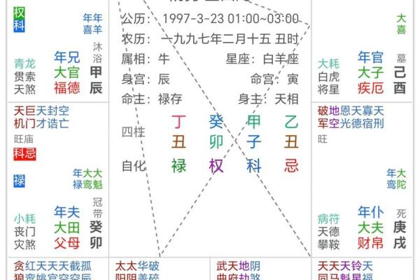 紫薇斗数看玄学体质