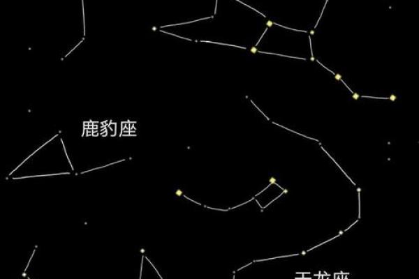大熊星座的主要特征