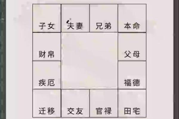 紫薇斗数夫妻宫带天府