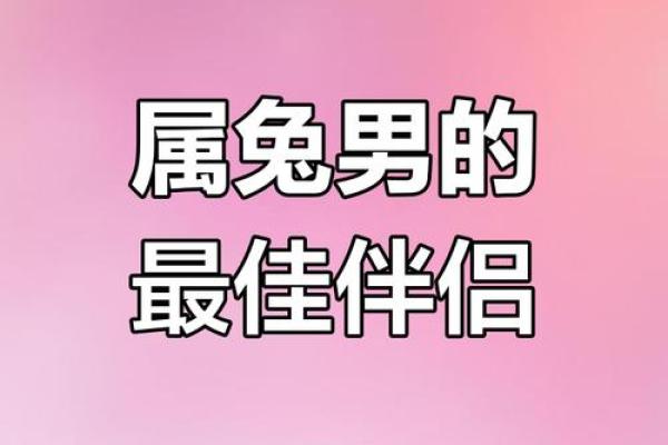 合八字属鼠男与属兔女适合做夫妻吗 婚配好吗