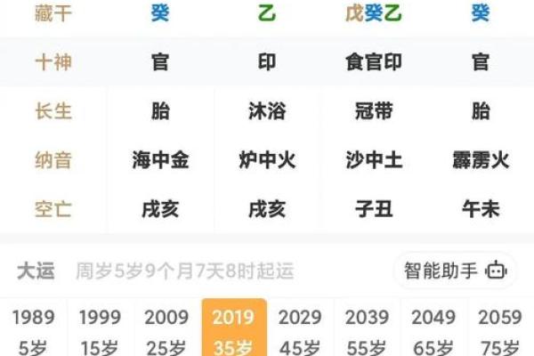 己亥生辰八字详解大全女命
