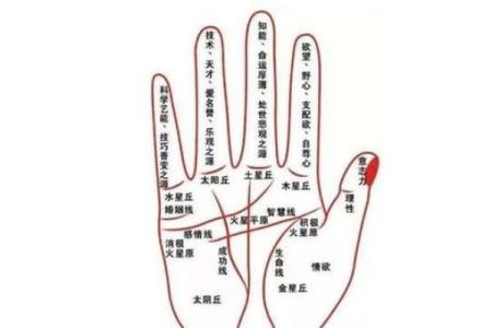 818算命准