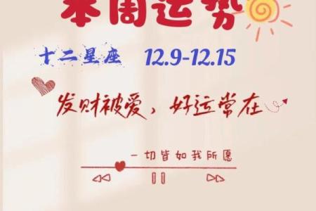 猎鹰上升星座摩羯运势2024