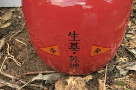 种生基后算命，发现命运大改变