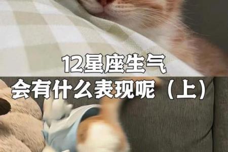 十二星座男女生气会怎么哄