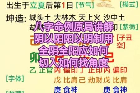 八字命理揭秘：如何从命理学角度预测体型走势？