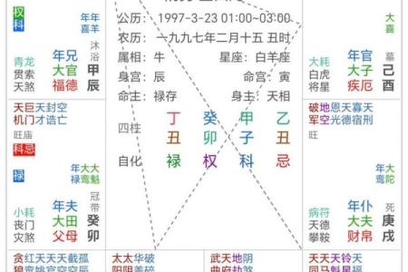 紫薇斗数看玄学体质