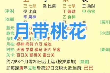 八字正桃花