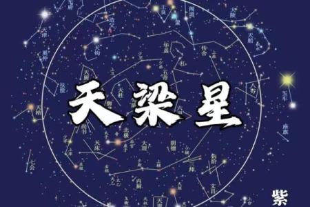 元亨利紫薇斗数
