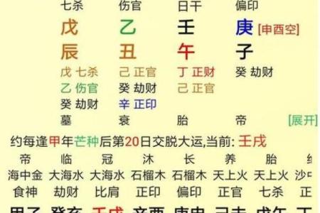 白龙八字