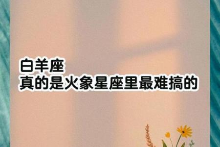 白羊座和风象星座个性一样吗男