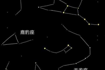 大熊星座的主要特征