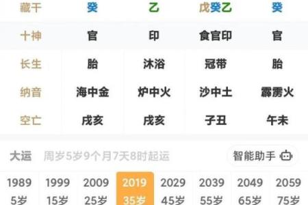 己亥生辰八字详解大全女命
