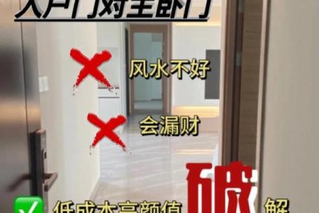 大门对大门的风水化解_大门对公用门好吗