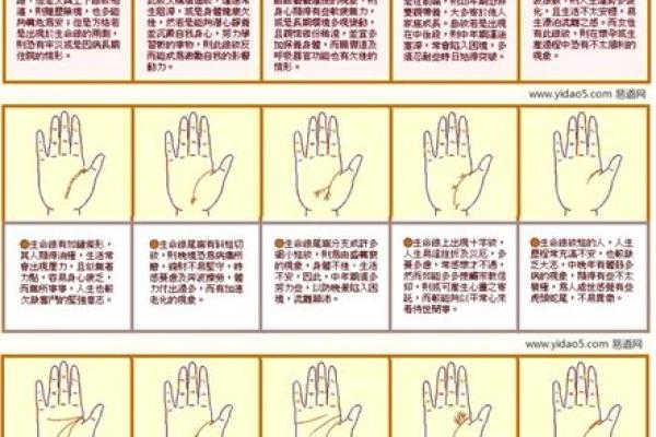 男人生命线图解，男人看手相生命线算命