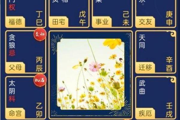 紫微命盘算命吉星