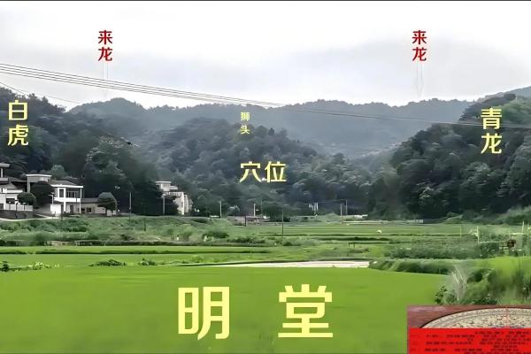 墓地和朝向风水怎么选