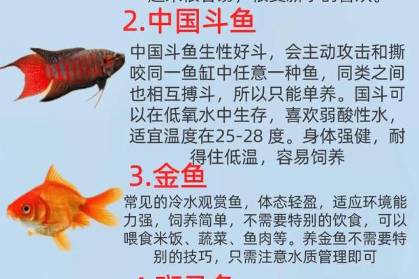 家庭中养鱼，要注意的风水详解